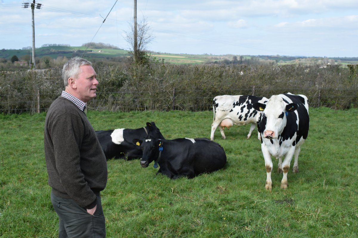 Dairy farmers 🐮🧀 @Godminsterfarm are opening their gates on Weds 19 June to share what works in their whole farm system, from #herballeys to tips on #biodiversity monitoring. Plus, we’ll be introducing a new #dairyfarming learning network! Book here: eventbrite.co.uk/e/demonstratin…