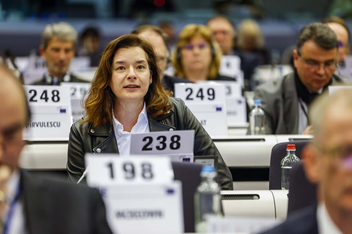 🛡️The question is: What does it need so Member States cooperate on #EUdefence?

It is high time to be able to defend ourselves. With an EU that has underinvested on #defence for too long, we need to be able to act together.

@SandraParthie at #EESCplenary🕊️