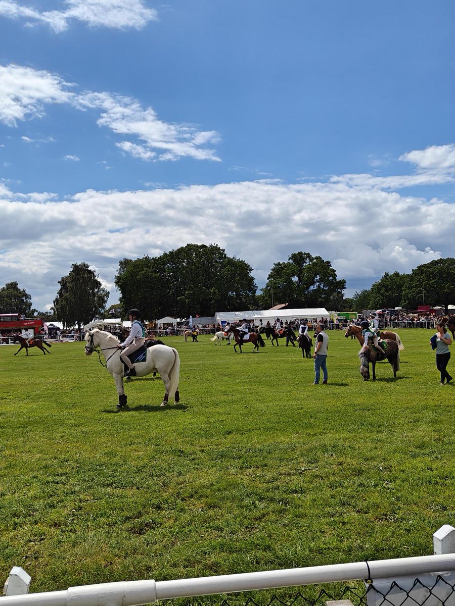 Travel Chapter tweet media