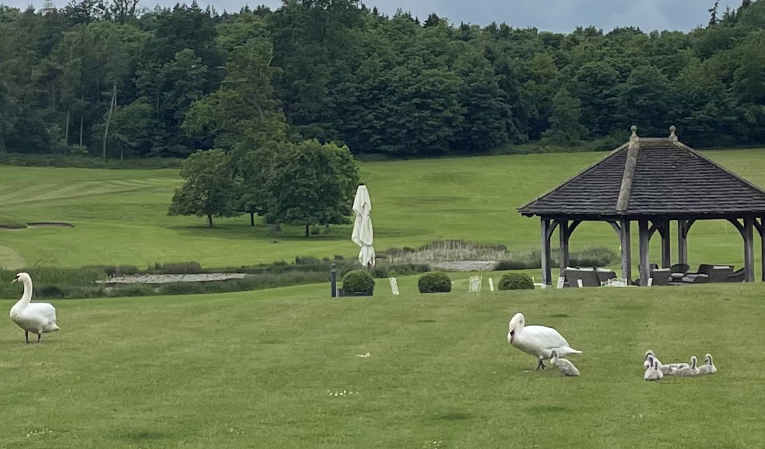 A true family affair on the Golfers’ Patio this afternoon…..