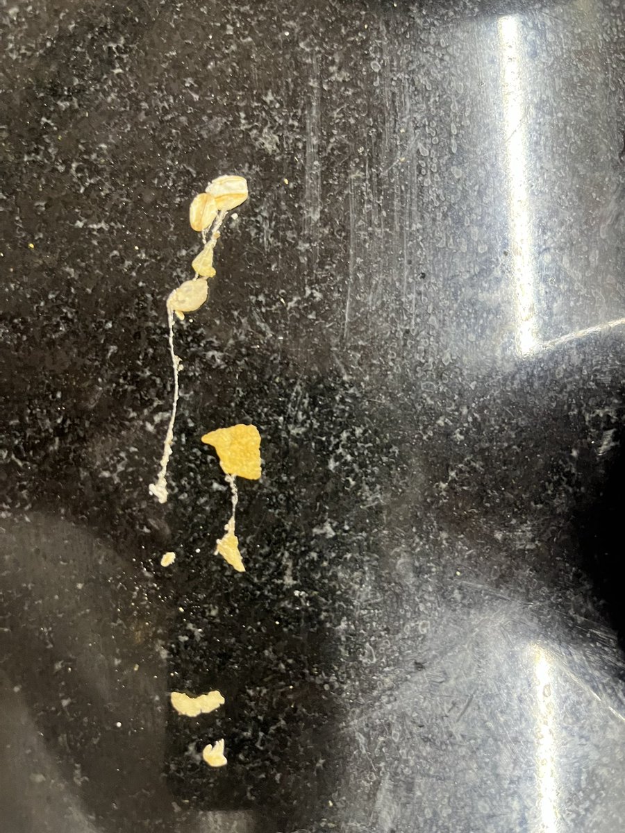 rishipatil9's tweet photo. @Kwality_Foods 
Insects found in KwalityMuseli Product, which was ordered from #Flipkart.
No response from Kwality Customer Support.

#Food #Flipkart https://t.co/THeWyLgK27