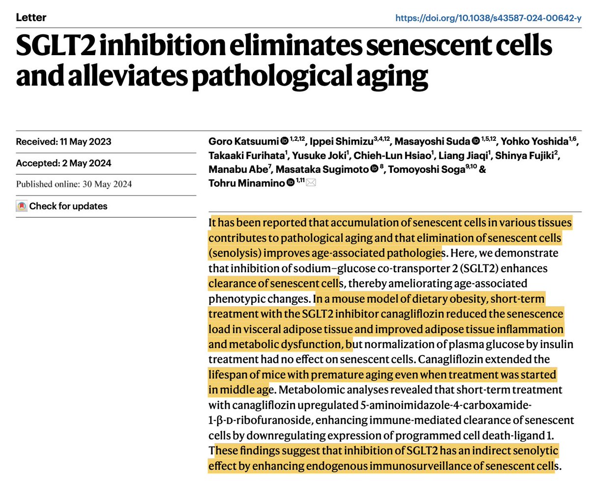 Eric Topol (@erictopol) on Twitter photo SGLT2 drugs reduce mortality but we didn't know why. Maybe because they are senolytic, enhancing the clearance of senescent "zombie" cells
nature.com/articles/s4358… <a href="/NatureAging/">Nature Aging</a> Lifespan in mouse model extended by this drug, not by glucose control <a href="/NatureAging/">Nature Aging</a> SGLT2 drugs reduce mortality but we didn't know why. Maybe because they are senolytic, enhancing the clearance of senescent "zombie" cells
nature.com/articles/s4358… <a href="/NatureAging/">Nature Aging</a> Lifespan in mouse model extended by this drug, not by glucose control <a href="/NatureAging/">Nature Aging</a>