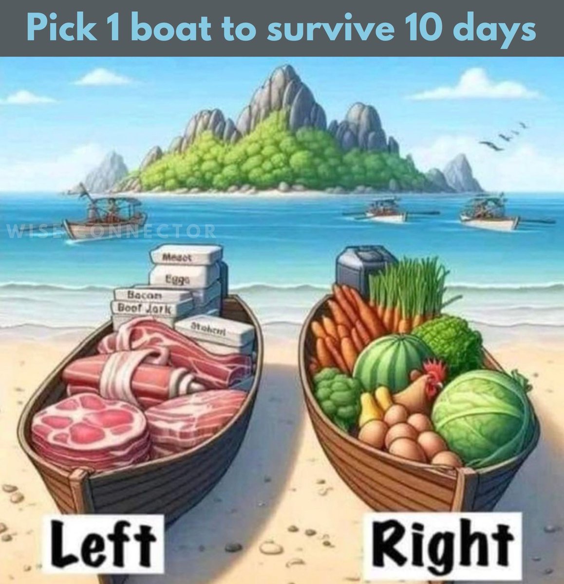 Which boat are you taking?