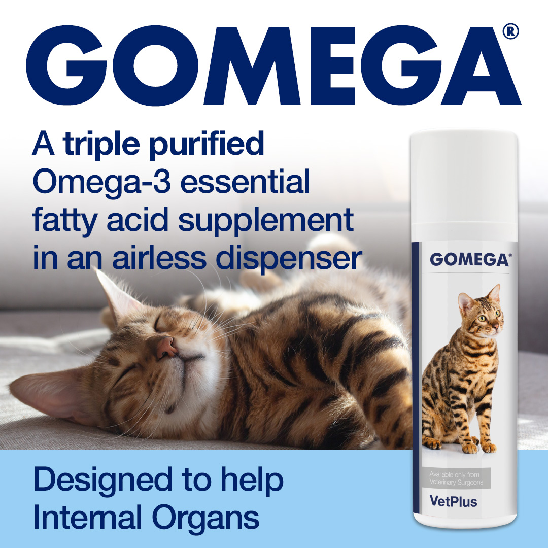 Did you know that your cat can’t make enough Omega 3 Essential Fatty Acids? 

NEW GOMEGA FOR CATS provides high levels of purified Omega 3 EFAs and comes in a convenient pump, to make helping your cat as easy as possible. 

Find out more here bit.ly/3yGFVc2