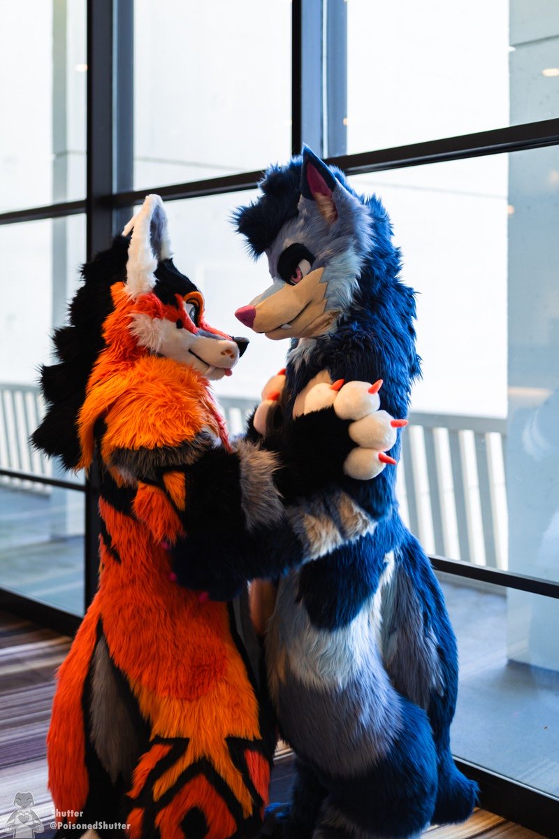 Shutter 🔜 FCL tweet media