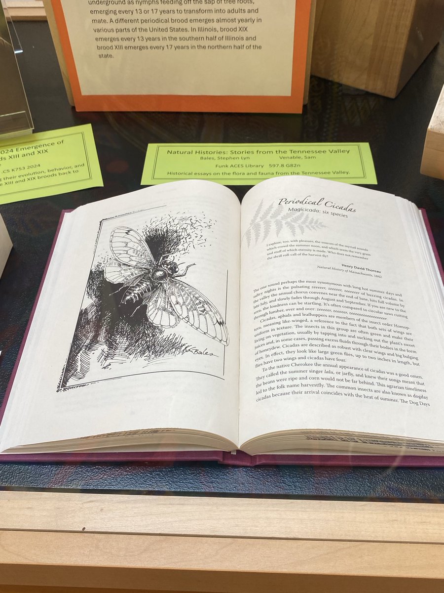 Esther Ngumbi tweet media