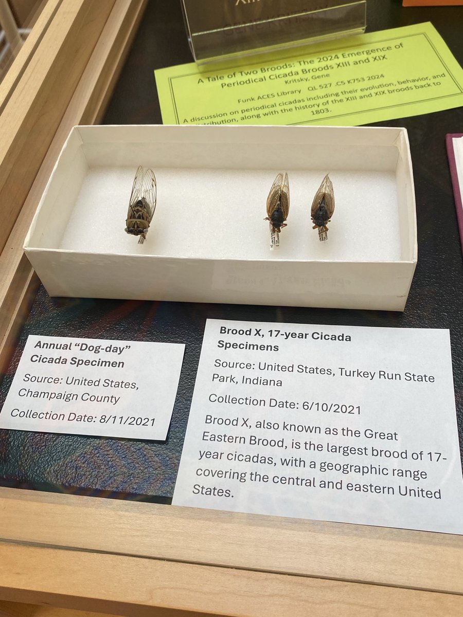 Esther Ngumbi tweet media