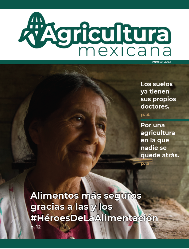 ¡Una agricultura del futuro! 🧪🌽🌱 El campo es ciencia y tecnología, con una producción incluyente y sostenible. Si quieres conocer más de este y otros temas del sector primario, te invitamos a leer la última edición de la revista Agricultura mexicana: rebrand.ly/4bc6t34