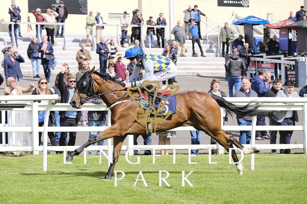 Lingfield Park (@lingfieldpark) on Twitter photo RACE 4 WINNER - Download The Racecourse App <a href="/Raceday_Ready/">Raceday_Ready</a> Handicap
๐ฅ Moreginplease
๐ฅ Outer Edge
๐ฅ Edergole's Gift
Jockey: Sean D Bowen
Trainer: <a href="/JohnRyanRacing/">John Ryan Racing</a>
Owner: Mr Gerry Mcgladery
#LingfieldPark RACE 4 WINNER - Download The Racecourse App <a href="/Raceday_Ready/">Raceday_Ready</a> Handicap
๐ฅ Moreginplease
๐ฅ Outer Edge
๐ฅ Edergole's Gift
Jockey: Sean D Bowen
Trainer: <a href="/JohnRyanRacing/">John Ryan Racing</a>
Owner: Mr Gerry Mcgladery
#LingfieldPark