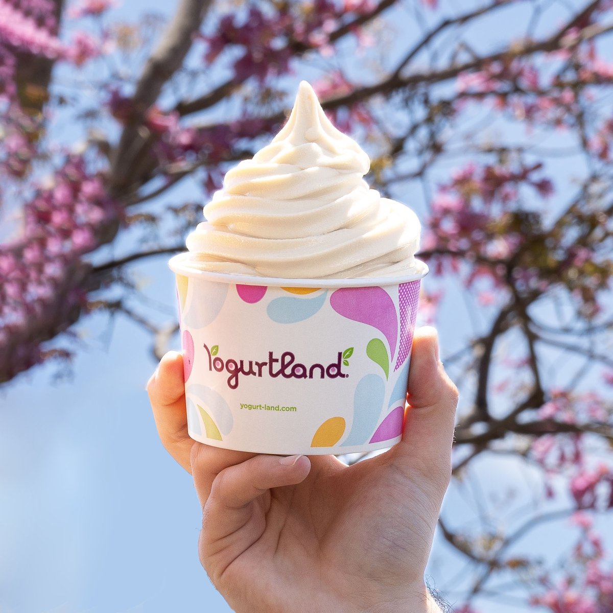 What toppings are you putting on this Milk & Honey swirl?! ⬇️ Hurry, get it before it's gone! #yogurtland #milkandhoney
