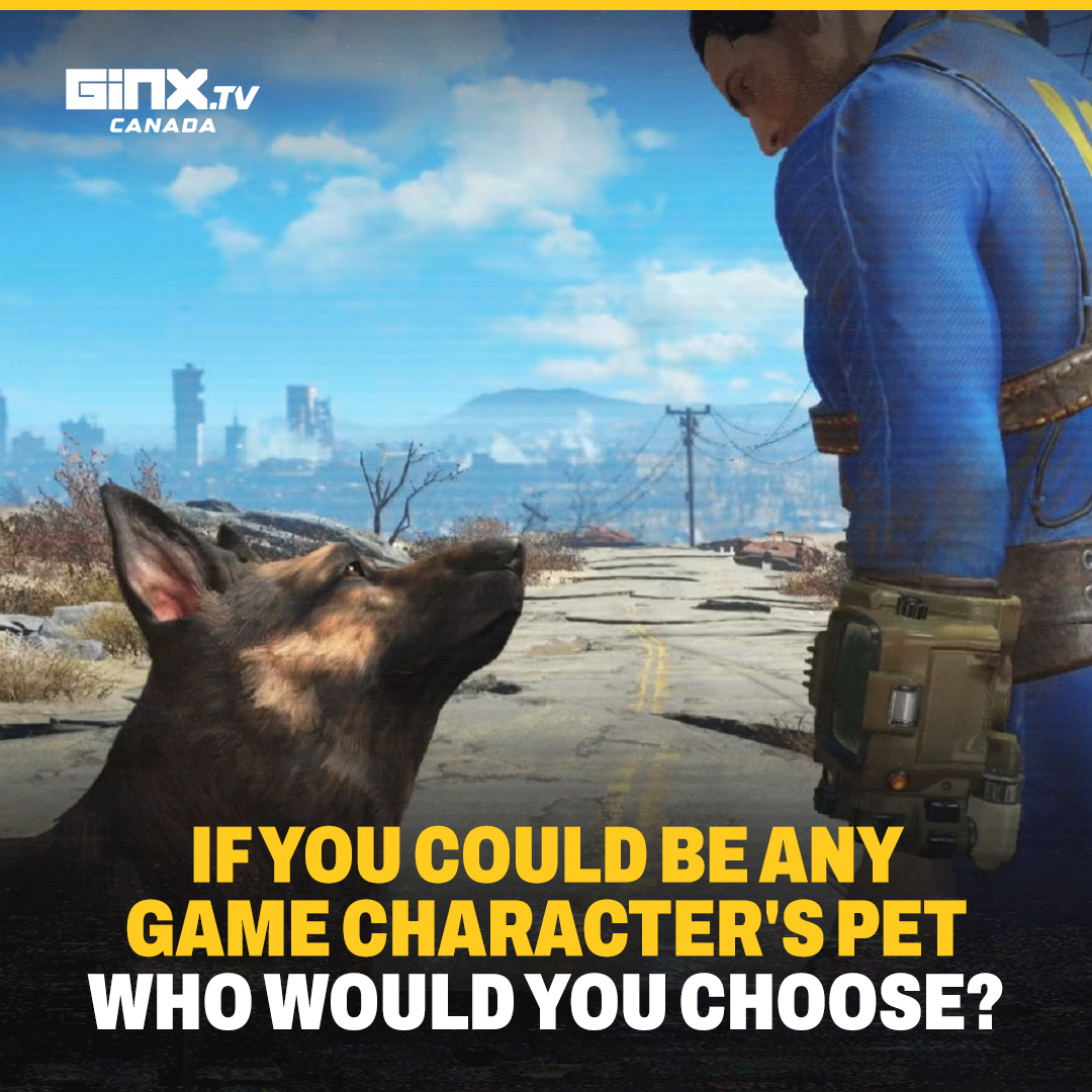 And what animal would you be? 🦜