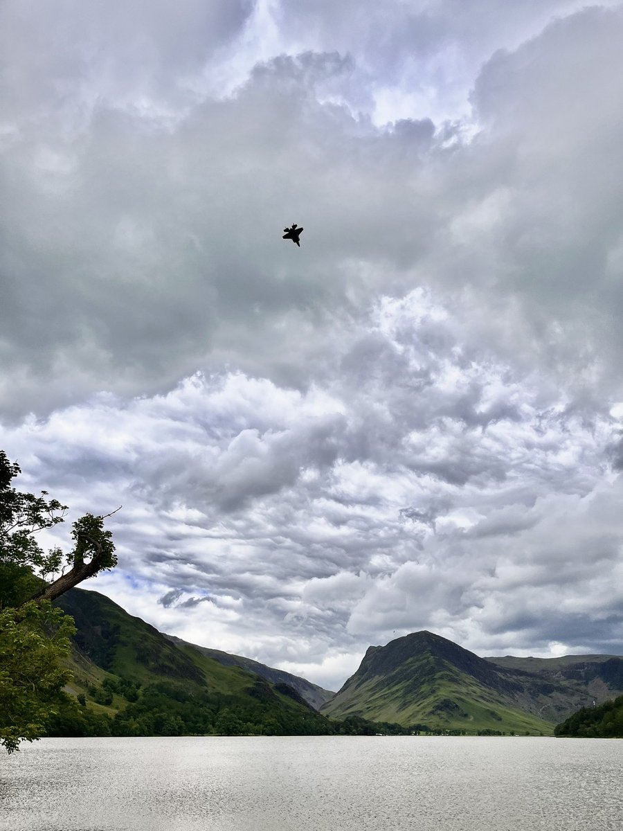 Paul Gratrick tweet media