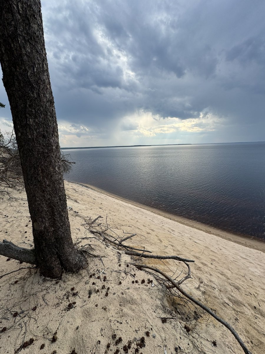 JussiTalvi's tweet photo. Ärjänsaari, paratiisi maanpäällä. #kajaani #ärjänsaari #oulujärvi https://t.co/icoYESX225