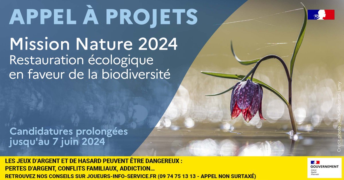 🍀 [#MissionNature 2024] Prolongation du 2e appel à projets sur la restauration écologique

Après le succès du jeu en 2023 une nouvelle édition sera commercialisée à l’automne 2024 par @FDJ et permettra de continuer à sensibiliser les citoyens

👉 ofb.gouv.fr/actualites/mis…