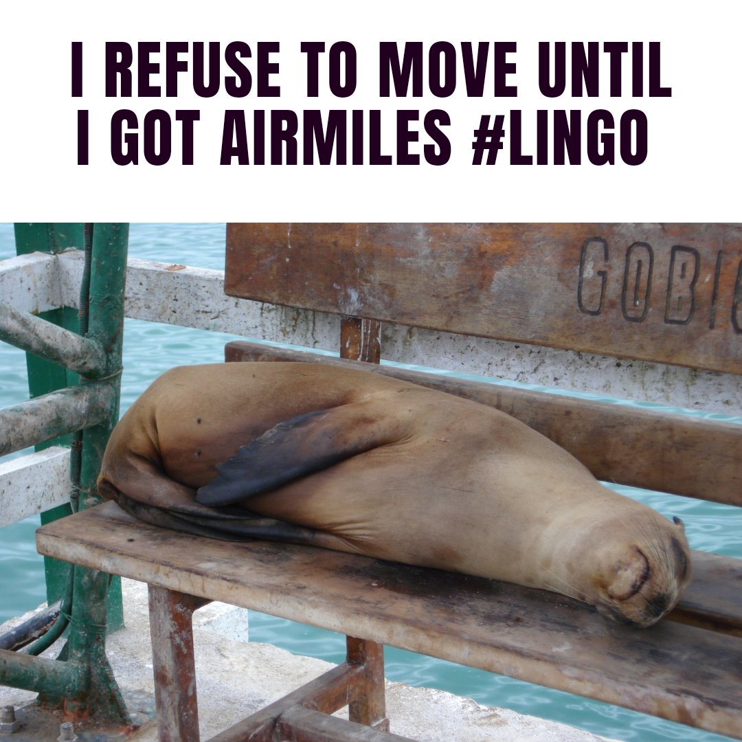 Moment of not getting enough airmiles for spin 👀 #LINGOISANDS #LingoAirdropIslands #Lingo @Adn4n_0 @Lingocoins