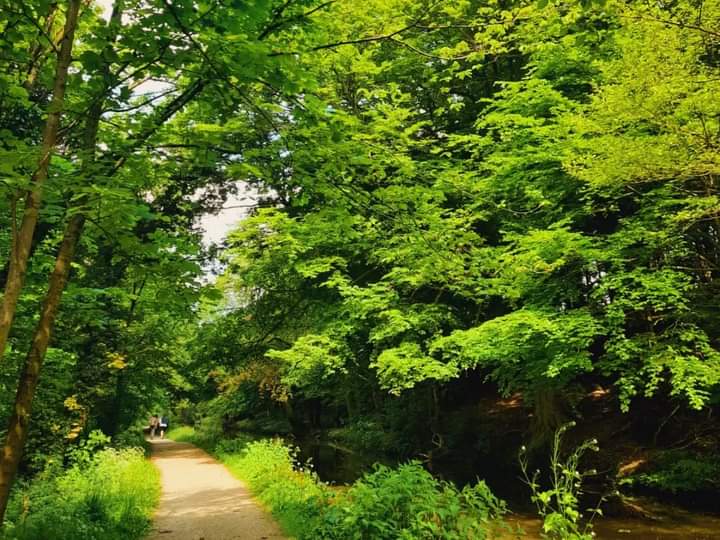 wildasabeeswing's tweet photo. #RecoveryRide 4 #Cononley to #Gargrave via #Skipton on Sat 18 May was IDYLIC! Gorgeous weather and stunning scenery. One of my fave parts of the @CanalRiverTrust so far.
Cycled 18.51 miles & enjoyed lovely picnick & #wildlife #conservation spots.
@Humankind_UK
@forwardleeds https://t.co/A5lkSusnzc