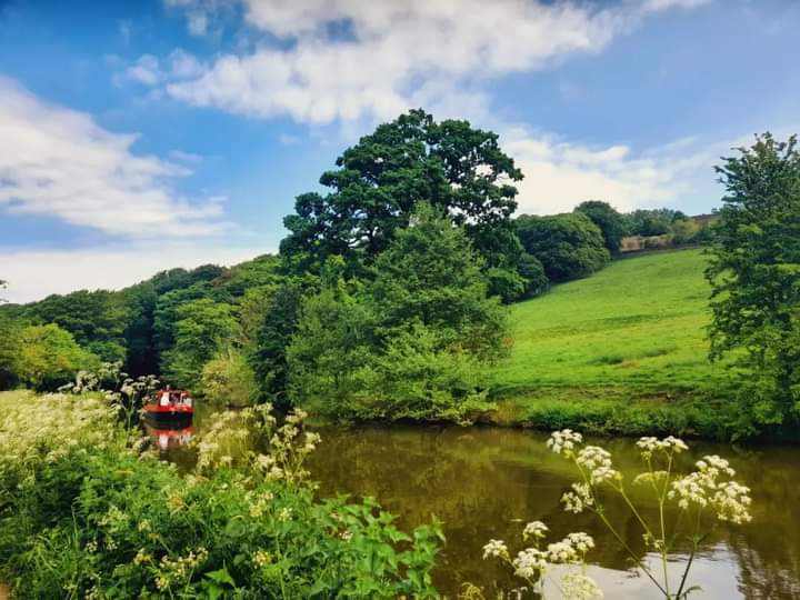 wildasabeeswing's tweet photo. #RecoveryRide 4 #Cononley to #Gargrave via #Skipton on Sat 18 May was IDYLIC! Gorgeous weather and stunning scenery. One of my fave parts of the @CanalRiverTrust so far.
Cycled 18.51 miles & enjoyed lovely picnick & #wildlife #conservation spots.
@Humankind_UK
@forwardleeds https://t.co/A5lkSusnzc
