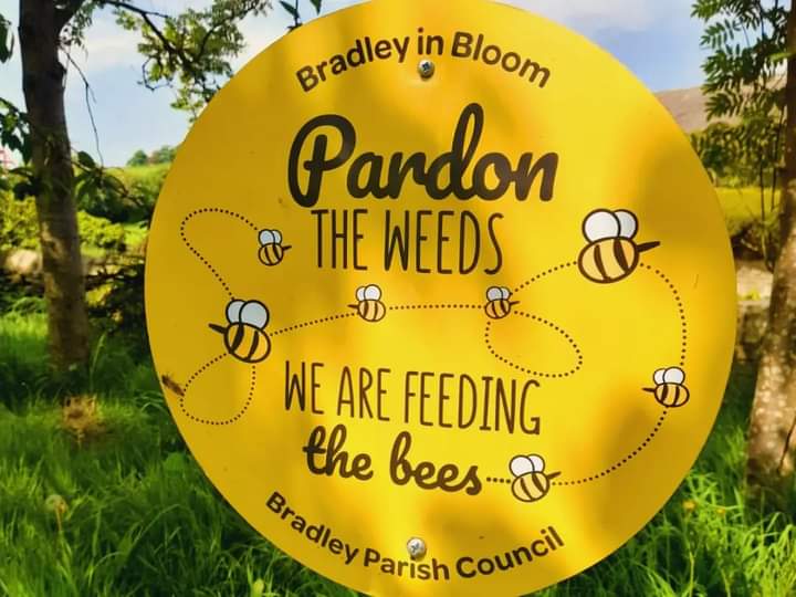 wildasabeeswing's tweet photo. #RecoveryRide 4 #Cononley to #Gargrave via #Skipton on Sat 18 May was IDYLIC! Gorgeous weather and stunning scenery. One of my fave parts of the @CanalRiverTrust so far.
Cycled 18.51 miles & enjoyed lovely picnick & #wildlife #conservation spots.
@Humankind_UK
@forwardleeds https://t.co/A5lkSusnzc