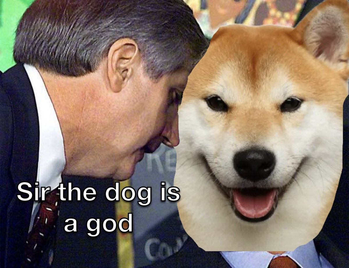 @cryptoliteX $DOG IS GOD