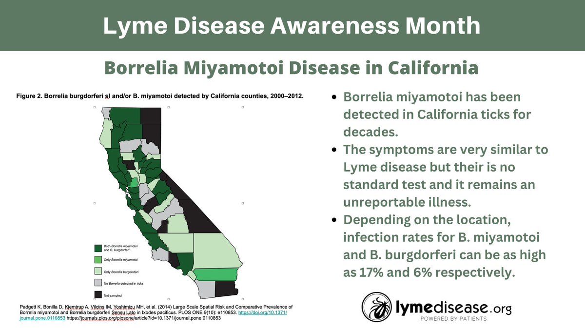 While the pathogen was detected in CA ticks decades ago, in 2022, the CDC confirmed California’s first case of Borrelia miyamotoi—a tick-borne pathogen that causes a relapsing-fever illness in humans.
READ MORE lymedisease.org/californias-fi… #LymeDiseaseAwarenessMonth