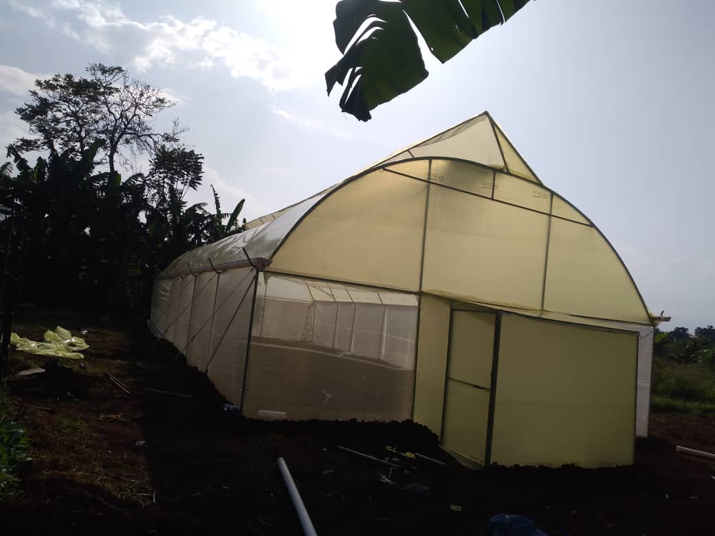 For your high quality greenhouse and irrigation solutions get in touch with @OmiaLtd to get value for your money with the best rates in the market. #FarmersFirst. Call 0782340951/0751787790.