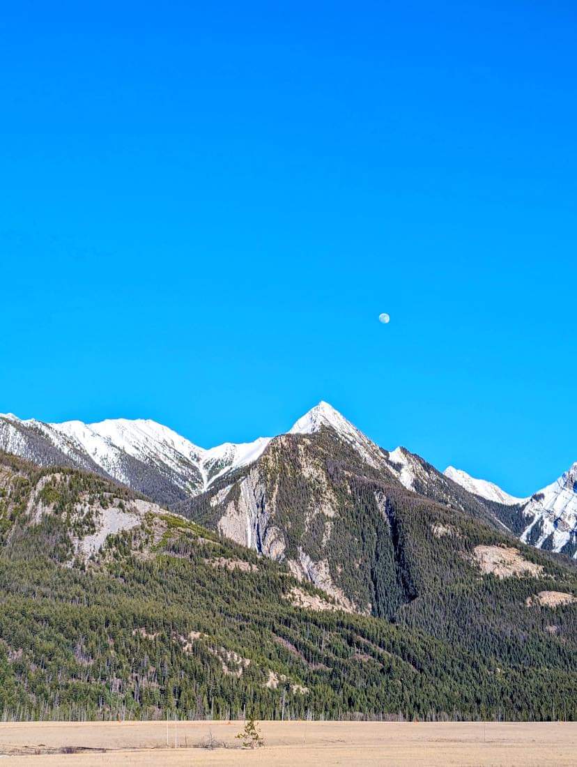 🌙✨ Bathed in Moonlight, the majestic peaks of Jasper National Park come alive under the moon after a breathtaking sunset. Nature’s symphony plays softly as the moon shine above. 🏞️🌄 #wanderlust #travelgram #explore #adventure #beautifuldestinations