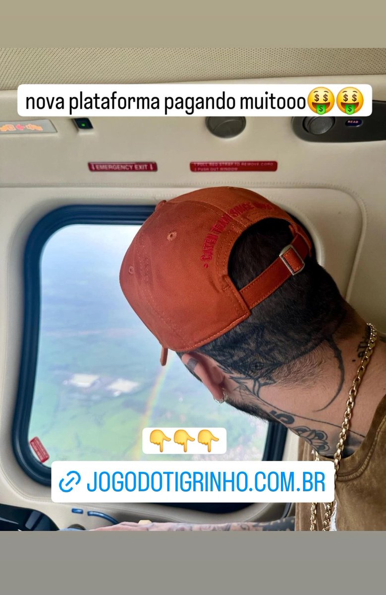 acervo zayn tweet media