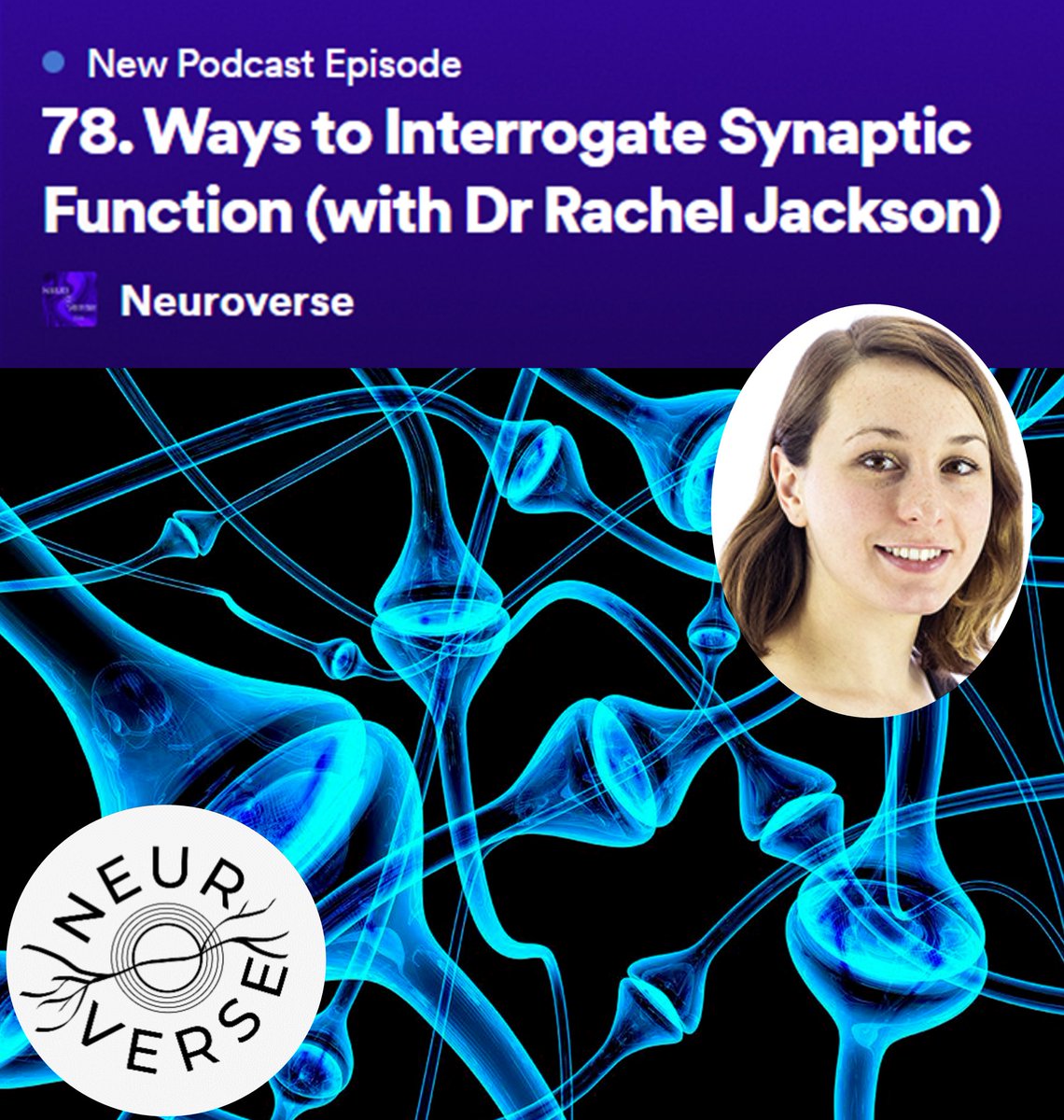 Neuroverse (@neuroverse_pod) on Twitter photo In our newest episode of Neuroverse, we were joined by <a href="/rj_neuro/">Rachel Jackson</a> to discuss tools used to study synapses, particularly their function and dynamics, and how this applies to her research. Listen to find out more about synaptosomes and more! 👩🔬🧠🔬🎙️open.spotify.com/episode/6z7B5K… In our newest episode of Neuroverse, we were joined by <a href="/rj_neuro/">Rachel Jackson</a> to discuss tools used to study synapses, particularly their function and dynamics, and how this applies to her research. Listen to find out more about synaptosomes and more! 👩🔬🧠🔬🎙️open.spotify.com/episode/6z7B5K…