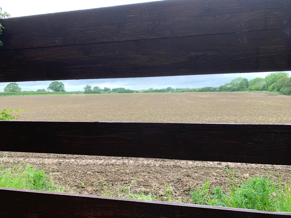 This week the team have also managed to install a new viewing screen at North Duffield Carrs overlooking the New Meadow and wild bird crop, with more improvements to follow over the summer. Huge thanks to everyone who has supported the Friends and made this project possible.