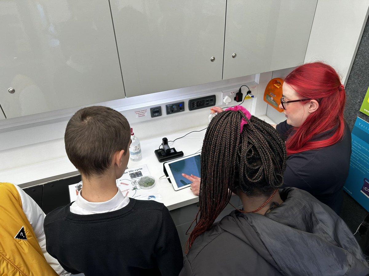 LHS Transition & Global Citizenship tweet media