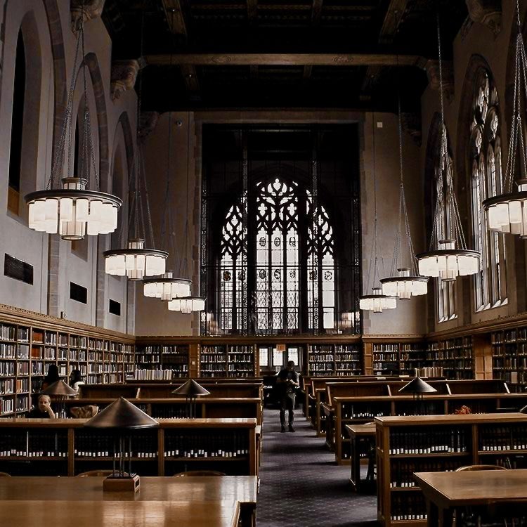 oc_lycanRome's tweet image. ᅠᅠ

        𝓜𝓼. 𝗞𝗮𝘁𝗵𝗲𝗿𝗶𝗻𝗲 𝗠𝗼𝗻𝘁𝗴𝗼𝗺𝗲𝗿𝘆

       Head of House, 
       Creative Writing Teacher at
       𝑨𝒔𝒉𝒃𝒐𝒖𝒓𝒏𝒆 𝑨𝒄𝒂𝒅𝒆𝒎𝒚
       #octh 
ᅠᅠ