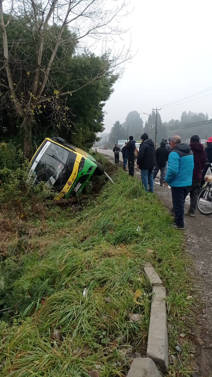 InfoBuses Valdivia tweet media