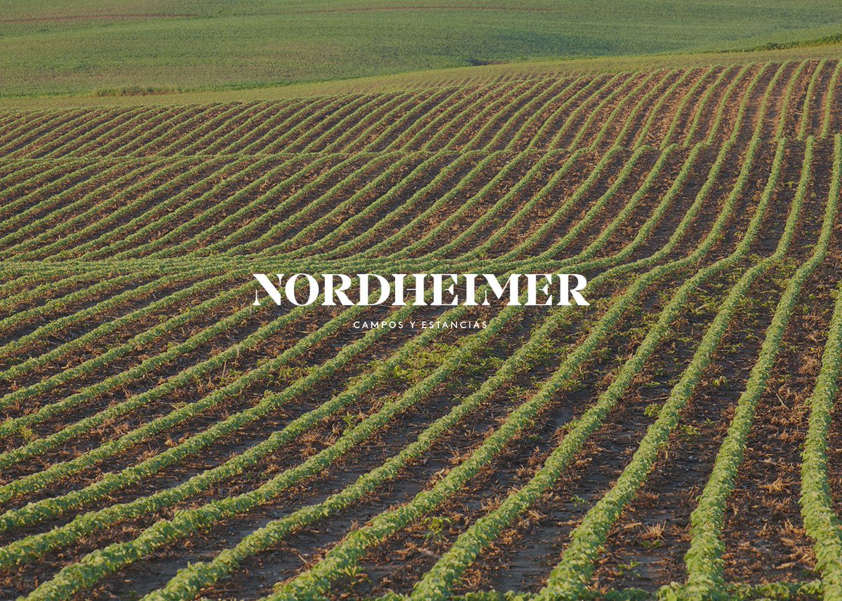 Federico Nordheimer, ejecutivo de Nordheimer Campos y Estancias, analizó la actualidad del mercado inmobiliario rural en la Argentina.
Escuchá la entrevista aquí 👉 bit.ly/3WXpXEB