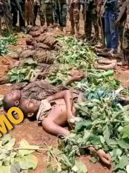 YeroonAmma3's tweet photo. The overall goal of z OLF-OLA is to restore sustainable peace &amp; security, uphold human rights &amp; dignity, &amp; build a democratic society in Oromia. They are advancing with Operation IRBU SHINNIGAA (Martyrs' Covenant). https://t.co/Z6H3y72IwE @MikeHammerUSA @AP #OLAFightsForMe