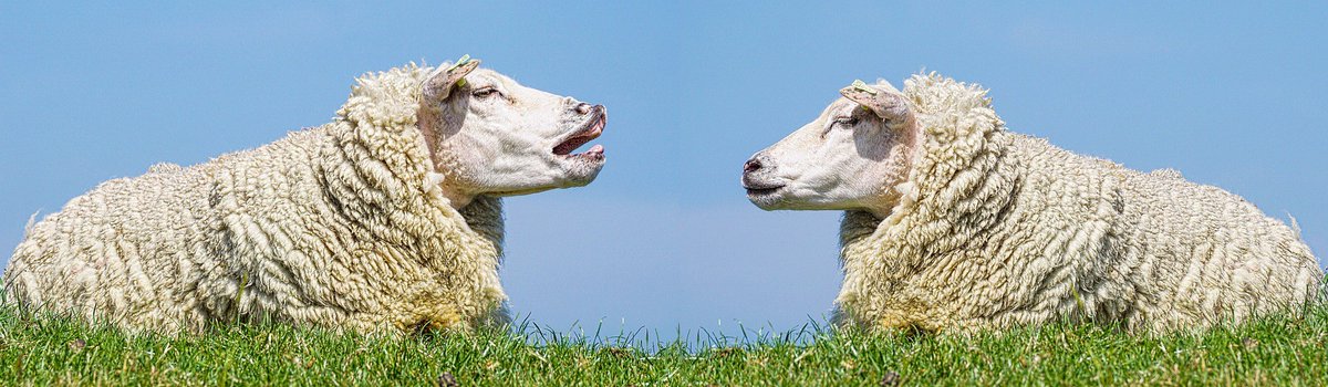 Über andere gut sprechen bringt so viel zurück! 🌟 Lob und Anerkennung stärken Beziehungen und Wertschätzung. Menschen fühlen sich geachtet, Vertrauen wächst. 💖

Nutzen wir die Kraft positiver Worte! #PositivesSprechen #Anerkennung #PositiveEnergie