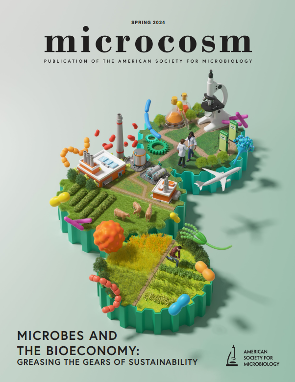 What role do microbes play in advancing the bioeconomy? The new issue of Microcosm, ASM's member magazine, explores the creative ways microbes are being used to drive society toward a sustainable future. Sign in or renew your ASM membership for access: asm.social/1Tr