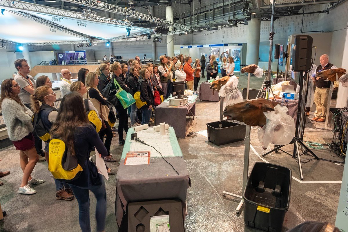 Arthrex Vet Systems Mobile Lab will be hosting hands-on sessions to help practitioners hone their arthroscopy and joint block skills in their state-of-the-art lab at BEVA Congress 2024. 🔗 bit.ly/3VhyG37