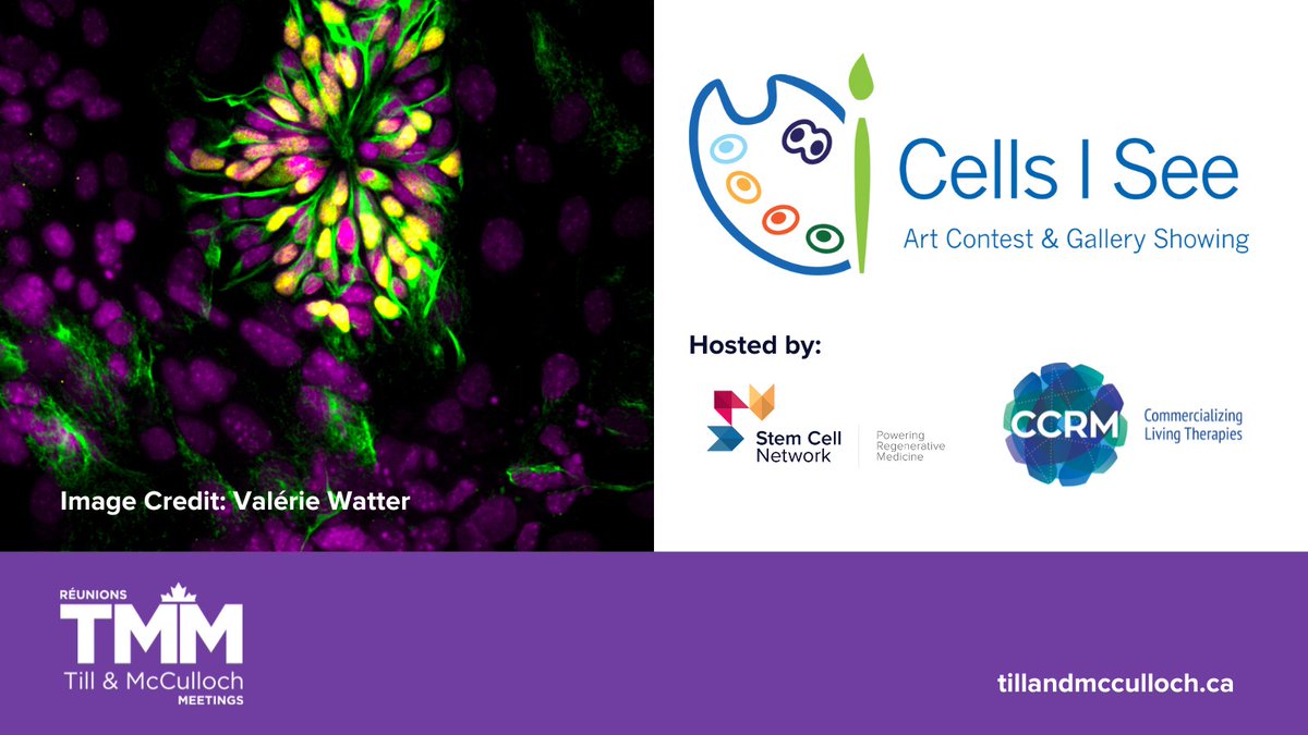 Showcase the beauty of cells in the Cells I See Art Contest at #TMM2024. 🧬 Submit your entry for a chance to win cash prizes and be featured in the Cells I See Art Gallery.

The deadline for submissions is Friday, September 6, 2024. ➡️ tillandmcculloch.ca/event/b2d91653… <a href="/CCRM_ca/">CCRM</a>