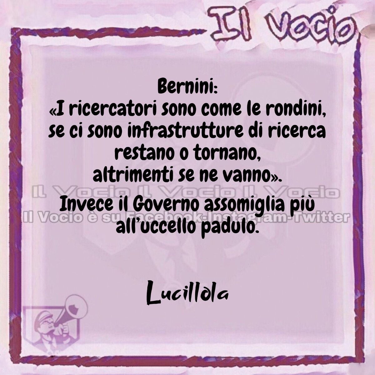 Lucillola @LucillaMasini #30maggio #ilvocio #Bernini #università #giovani #scienza #ricerca #Meloni #scuola #MeloniTornaACasa #GovernoMeloni