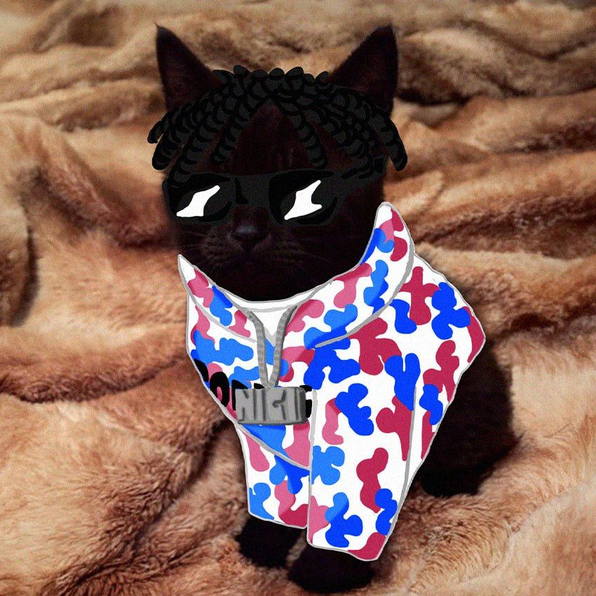 Time to crank that solana wallet and buy the drippiest cat on crypto $nigi <a href="/souljaboy/">Soulja Boy (Draco)</a>