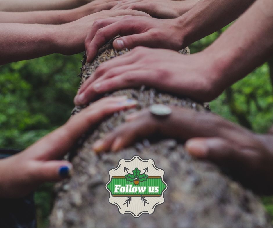 🌿 Change is in the air! Invest From The Ground Up will soon retire, but our commitment to California's urban forests remains strong. Follow us <a href="/CaUFC/">CA Urban Forests</a> and visit caufc.org. #SustainableCities #CaUFC