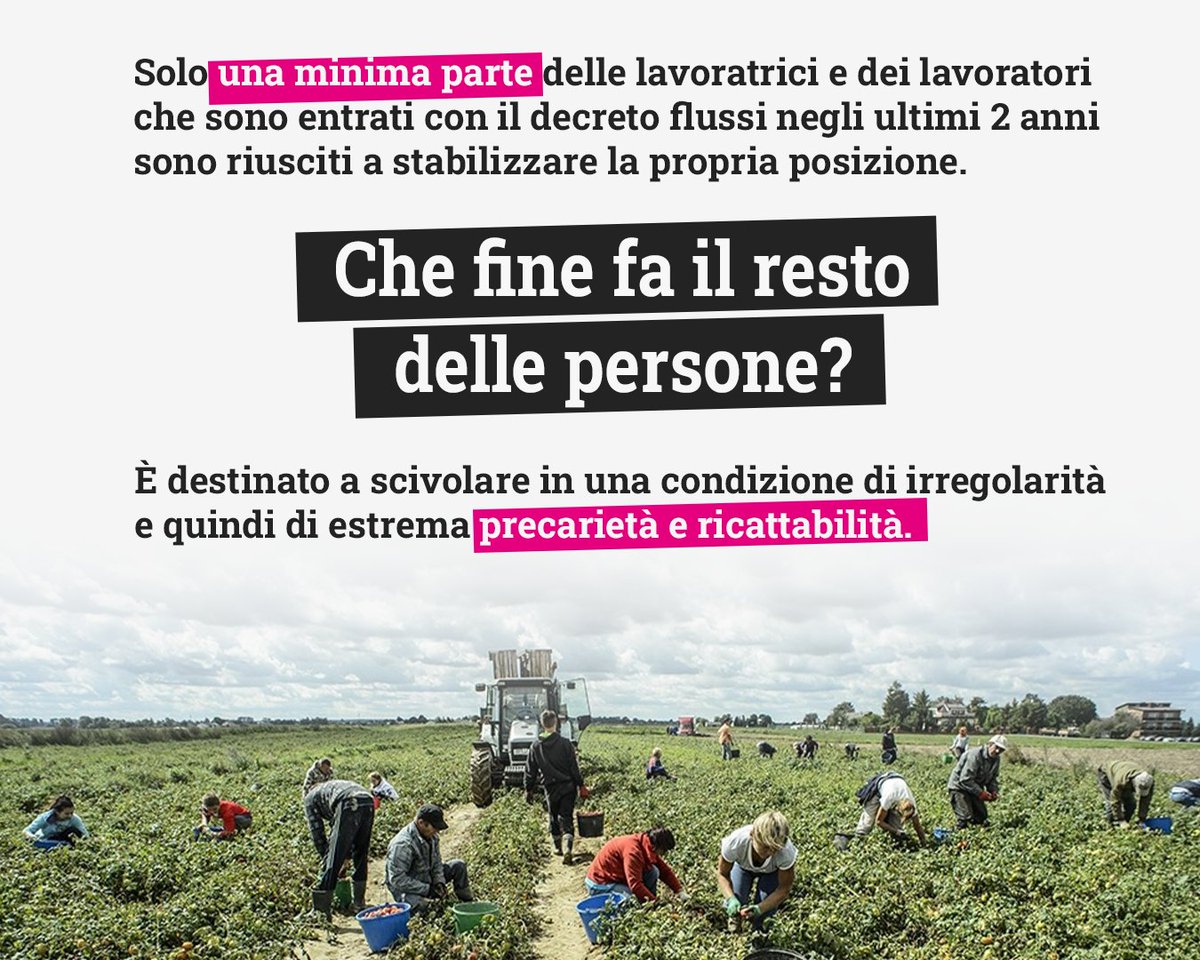 Presentato oggi al #Senato il nuovo dossier della Campagna @Ero_Straniero  “I veri numeri del #decretoflussi: un sistema che continua a creare irregolarità”. 

Un approfondito monitoraggio che mette in luce le evidenti disfunzionalità del sistema per l’ingresso di lavoratori e