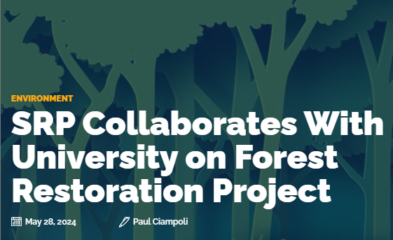 .@SRPconnect and Arizona State University have developed a new approach for estimating the water benefits of forest thinning treatments by creating a model that is being recognized as a leading-edge method for analyzing forest thinning’s impacts on water. ow.ly/CHhg50S13WU