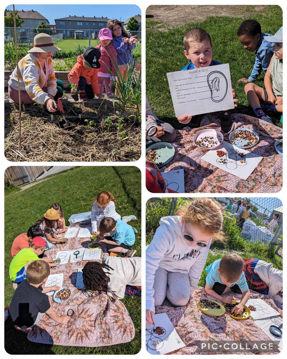 BEN Kinder 4 tweet media