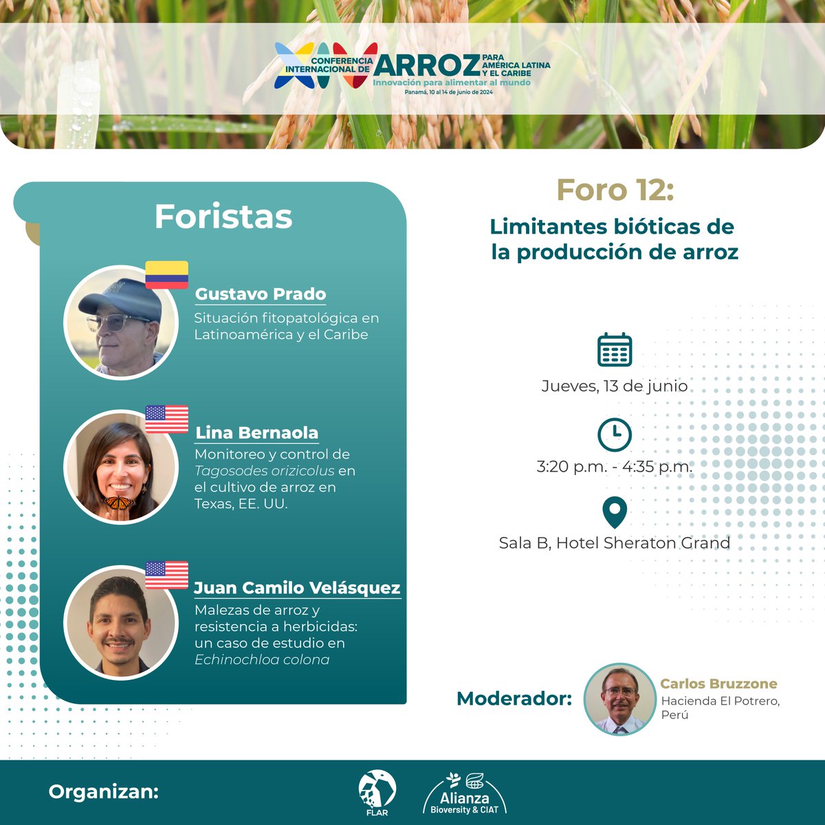 arrozFLAR's tweet image. #Foros | Los expertos Gustavo Prado (consultor @arrozFLAR), Lina Bernaola (@TAMU🇺🇸) y Juan Camilo Velásquez (@UArkansas🇺🇸) están listos para compartir todo su conocimiento sobre limitantes bióticas en la producción de #arroz.  Únete a este y otros foros:  conferenciaarrozalc.com/programa/