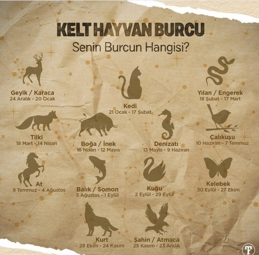 Kelt hayvan burcunuz ne? Benimki atmis aksshsh