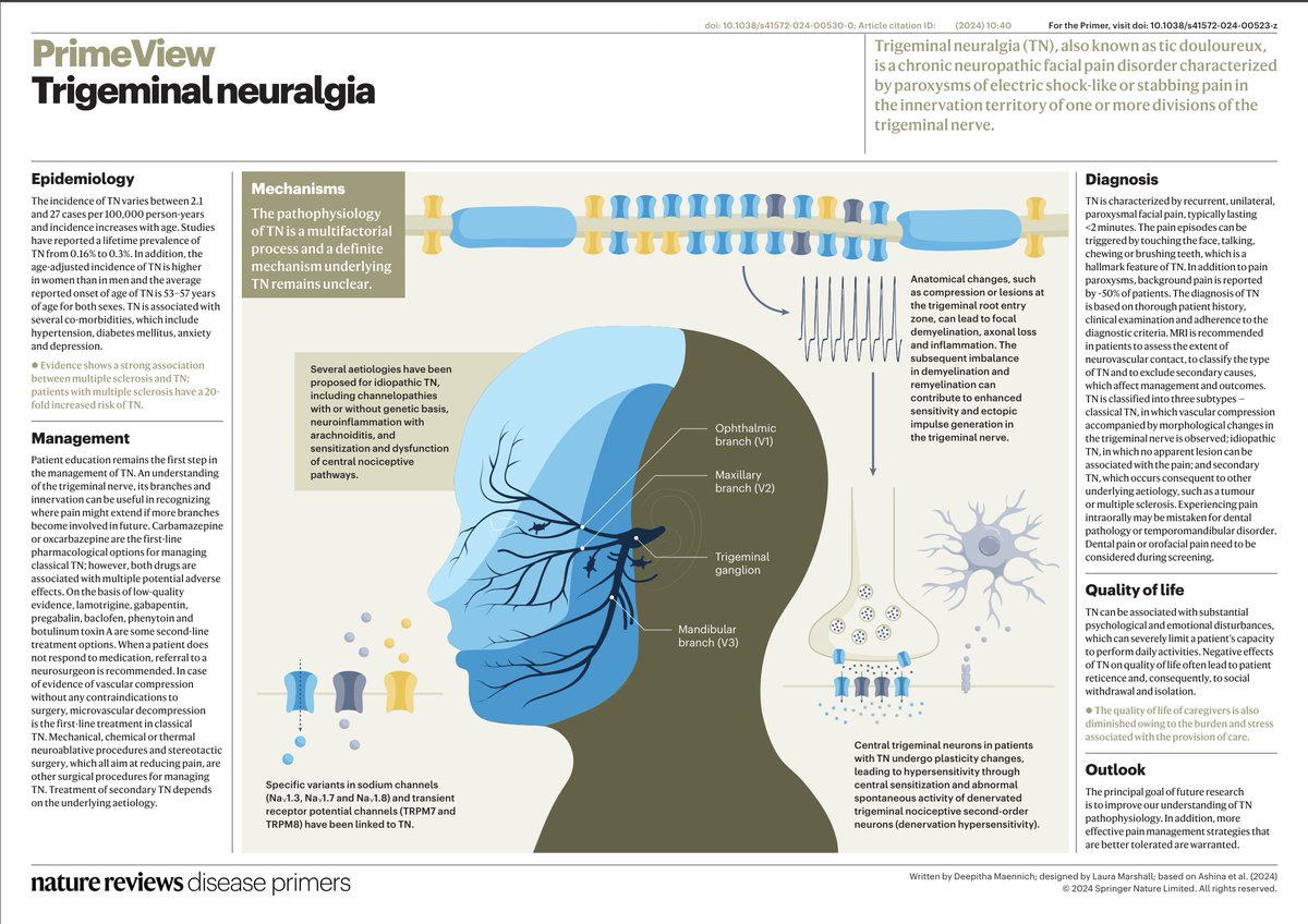 DiseasePrimers's tweet image. Get Primed on #Trigeminal #neuralgia with our NEW PrimeView! FREE to download this week! go.nature.com/4bGTiI2