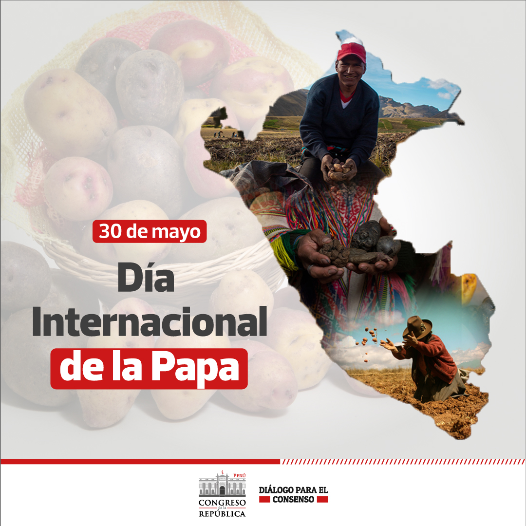 Congreso del Perú 🇵🇪 tweet media