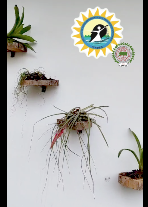 <a href="/lvoltas/">Liliam Voltas</a> <a href="/ICADESUNACHI/">ICADES_UNACHI</a> <a href="/UNACHIpanama/">UNACHI</a> <a href="/pacyt_unachi/">PACYT UNACHI</a> <a href="/heribertofranco/">Heriberto Franco Ávila</a> <a href="/MiAmbientePma/">Ministerio de Ambiente de Panamá</a> Excelente vista!  
Gracias por la gestión de la Prof L-Voltas 💪💪 <a href="/lvoltas/">Liliam Voltas</a> del <a href="/ICADES_UNACHI/">Icades unachi</a> <a href="/i4UNACHI/">i4</a> <a href="/pacyt_unachi/">PACYT UNACHI</a> <a href="/UNACHIpanama/">UNACHI</a> <a href="/heribertofranco/">Heriberto Franco Ávila</a> Plantemos más cortemos menos🌱