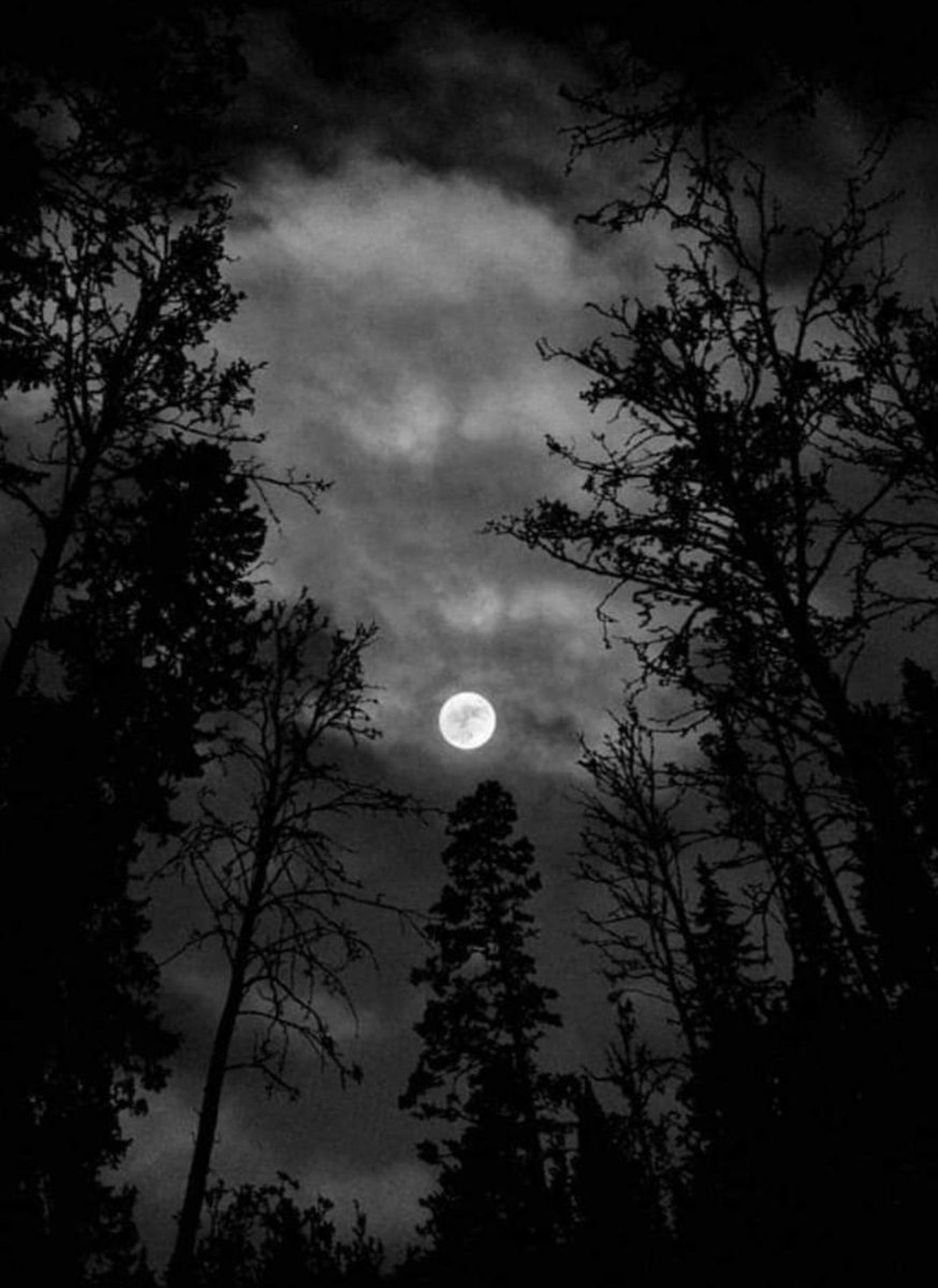 #BuonaSerataATutti 💫

Le nubi di tanto in tanto
ci danno riposo
mentre guardiamo la luna.
✍️ Matsuo Bashō
#InHaiku

#VentagliDiParole 

📸 Flickr